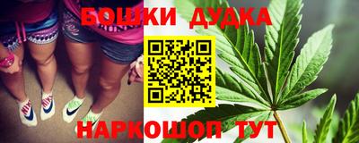 ECSTASY Новодвинск