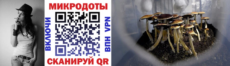 Галлюциногенные грибы GOLDEN TEACHER  Пушкино 