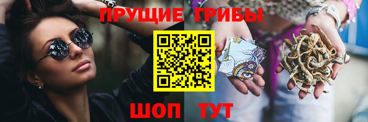 Галлюциногенные грибы Psilocybe Пушкино